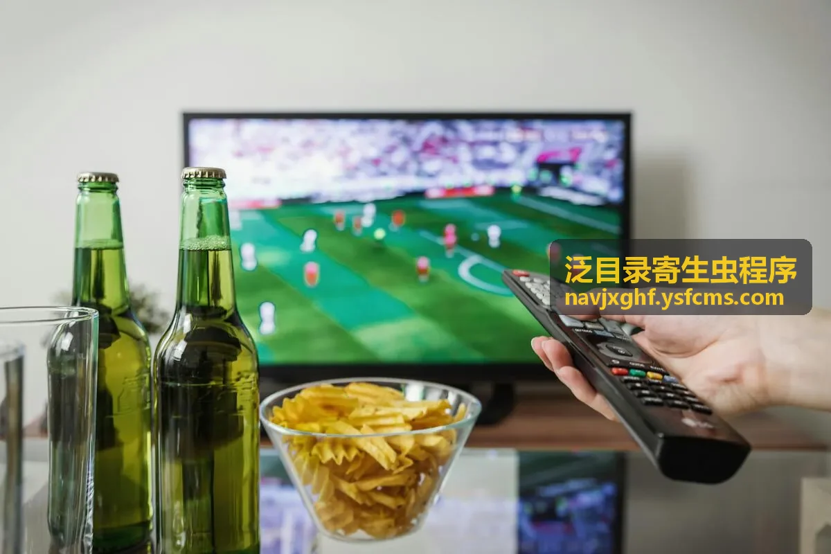 泛目录寄生虫程序异常目录检查示意