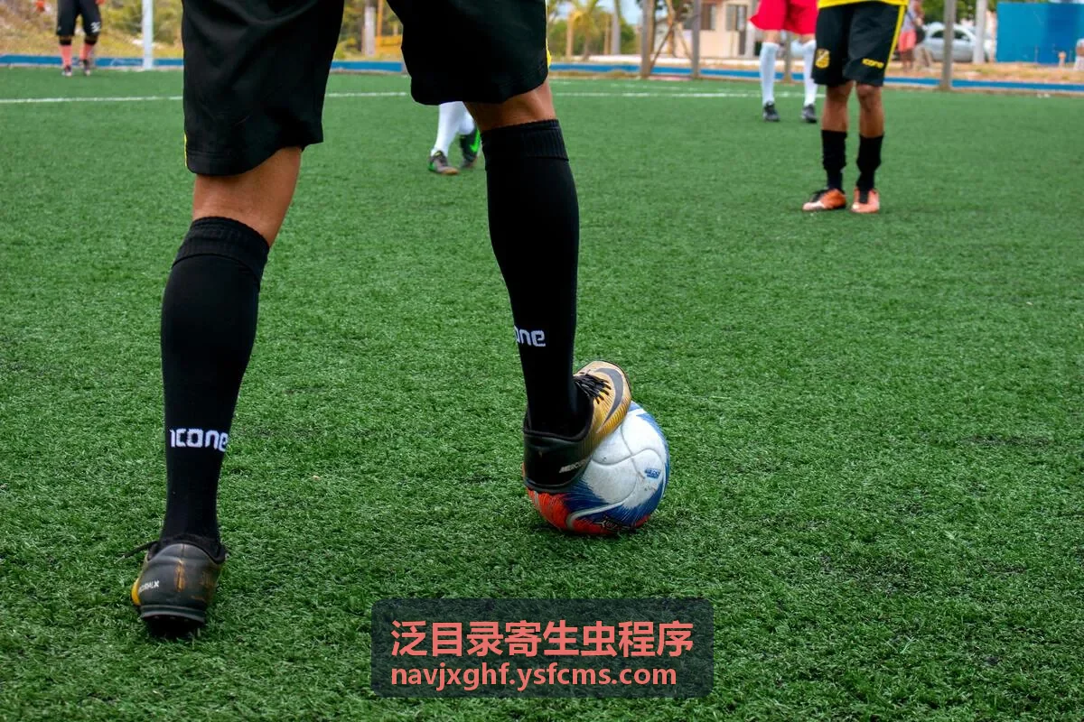 泛目录寄生虫程序陌生页面收录排查